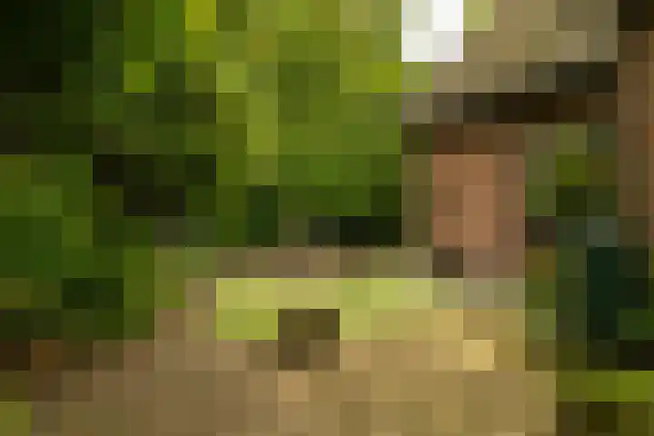 Kurenpolderweg 5 Hank thumbnail 38