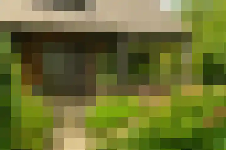 Kurenpolderweg 5 Hank thumbnail 4