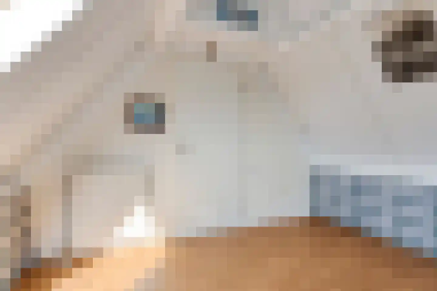 Kureweg 18 Kattendijke thumbnail 44