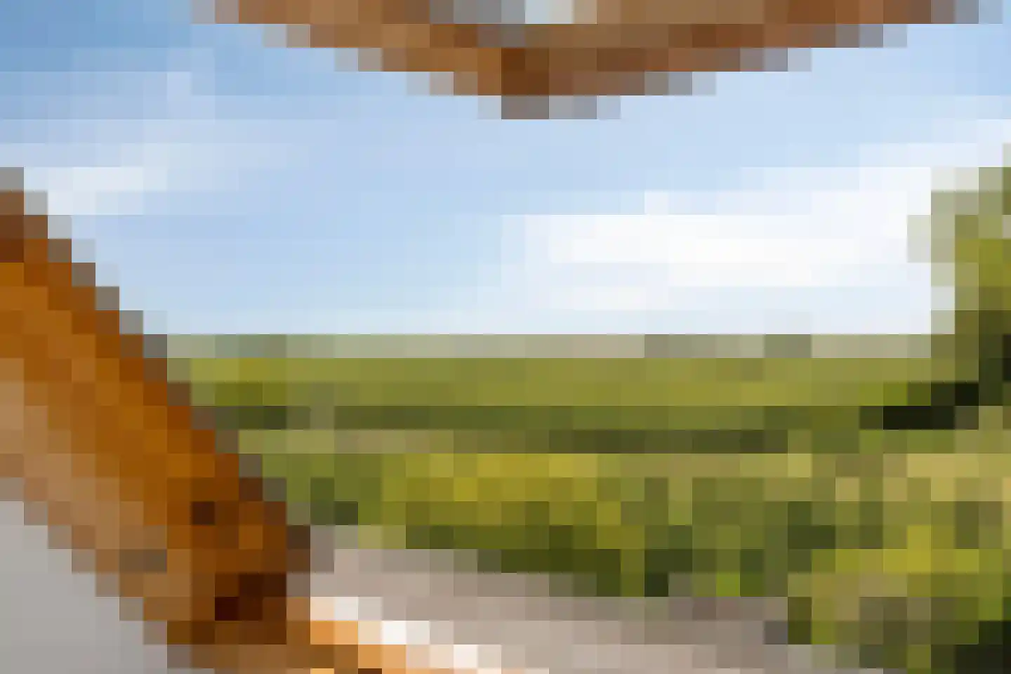 Kureweg 18 Kattendijke thumbnail 46