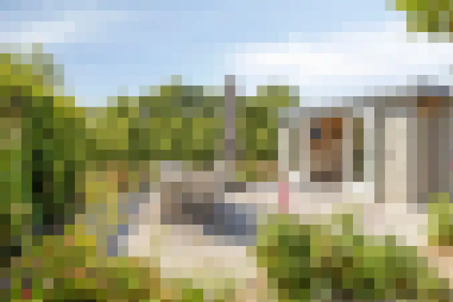 Kureweg 18 Kattendijke thumbnail 55