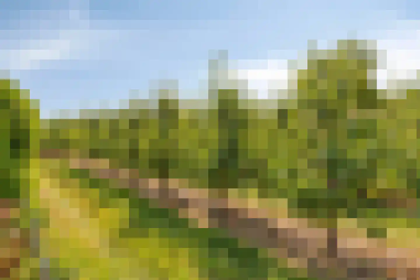 Kureweg 18 Kattendijke thumbnail 59