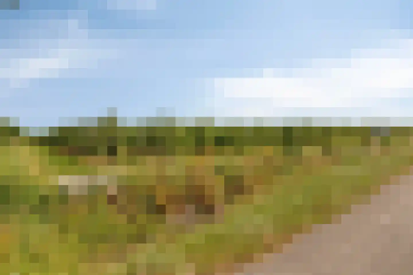 Kureweg 18 Kattendijke thumbnail 66