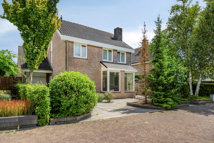 Kuringen 15 in Zevenbergen Foto