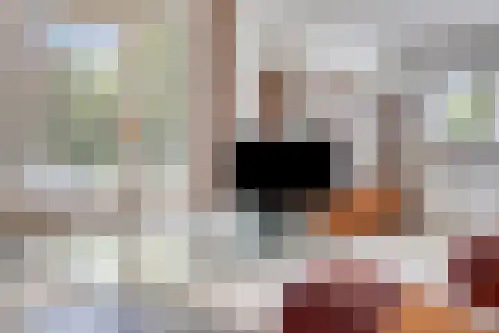 Kuringen 15 Zevenbergen thumbnail 12