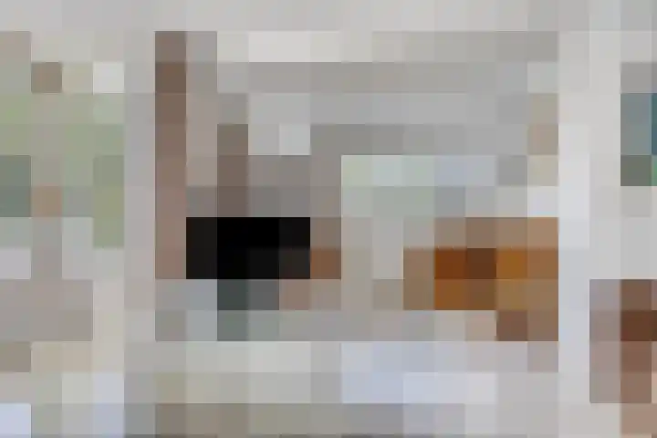 Kuringen 15 Zevenbergen thumbnail 13