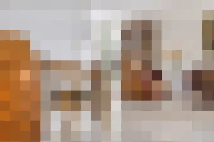 Kuringen 15 Zevenbergen thumbnail 15