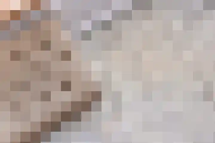 Kuringen 15 Zevenbergen thumbnail 16