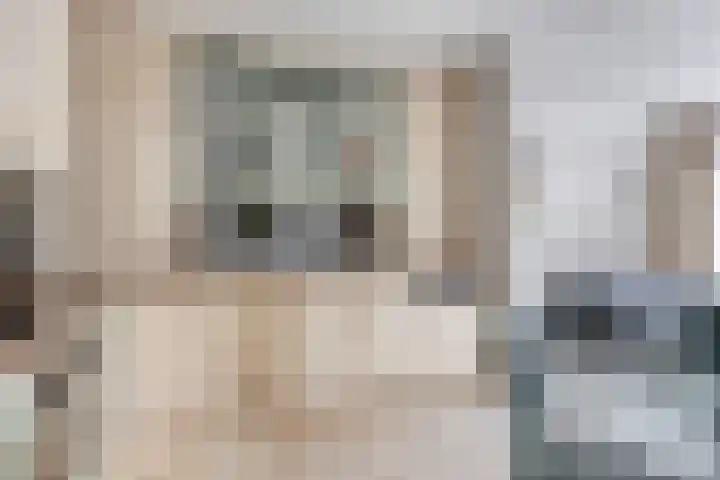 Kuringen 15 Zevenbergen thumbnail 19