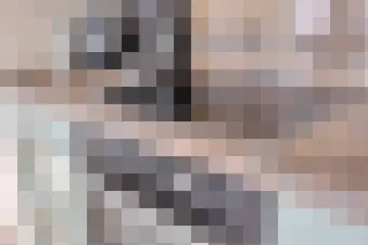Kuringen 15 Zevenbergen thumbnail 20