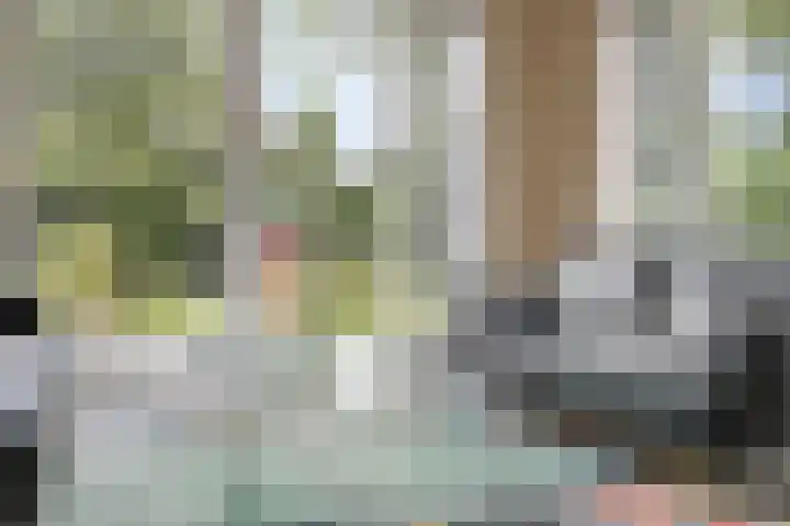 Kuringen 15 Zevenbergen thumbnail 23