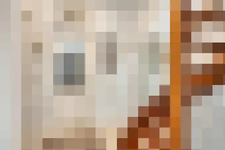 Kuringen 15 Zevenbergen thumbnail 24