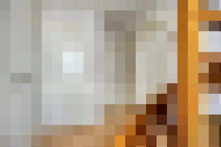 Kuringen 15 Zevenbergen thumbnail 25
