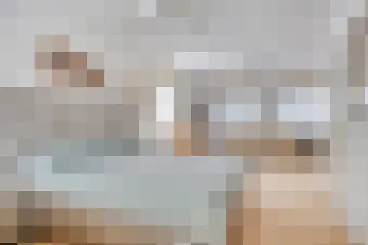 Kuringen 15 Zevenbergen thumbnail 27
