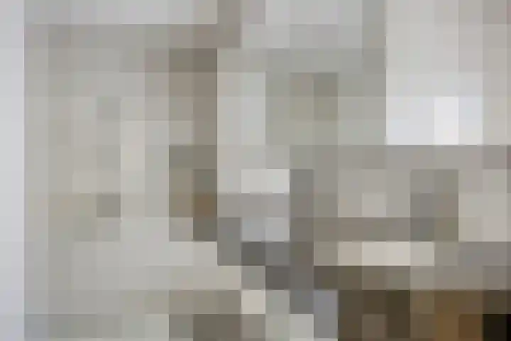 Kuringen 15 Zevenbergen thumbnail 29