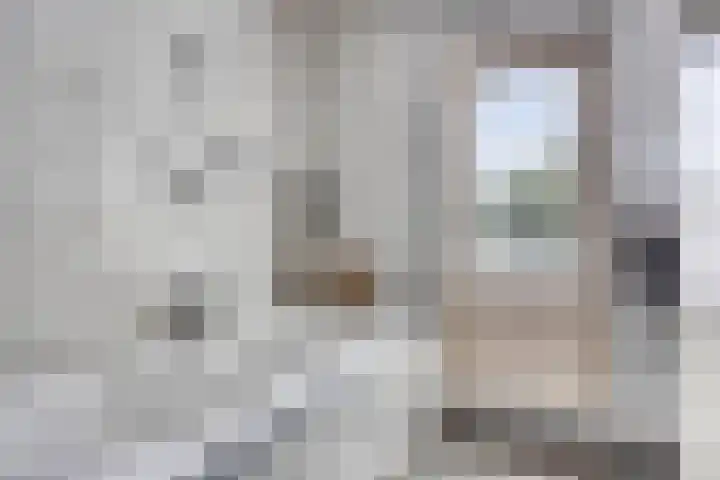 Kuringen 15 Zevenbergen thumbnail 30
