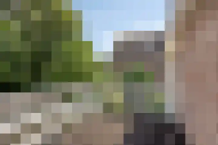 Kuringen 15 Zevenbergen thumbnail 34