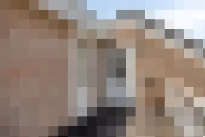 Kuringen 15 Zevenbergen thumbnail 35