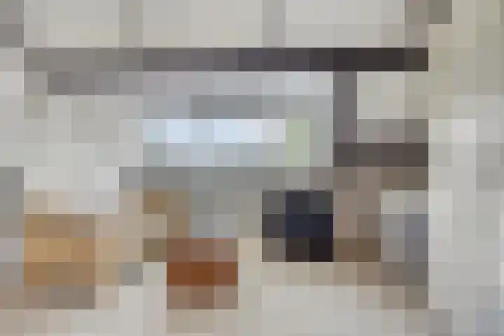 Kuringen 15 Zevenbergen thumbnail 39