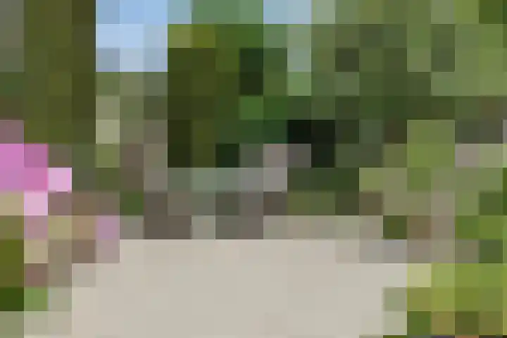 Kuringen 15 Zevenbergen thumbnail 41