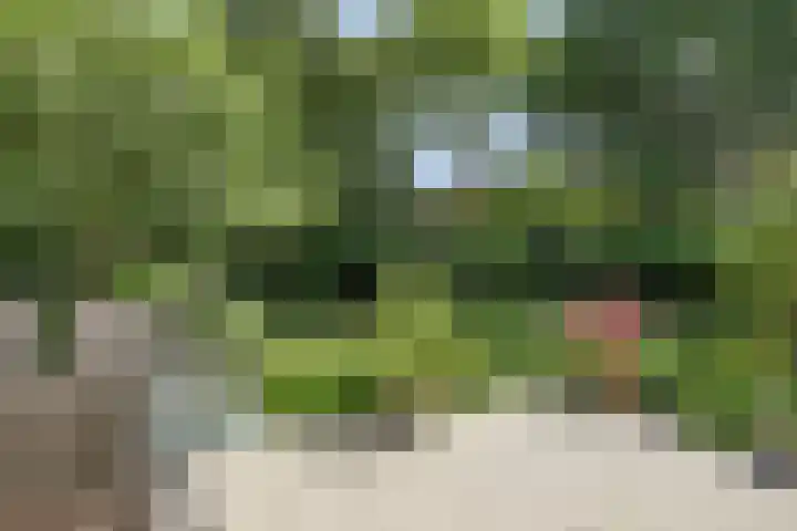 Kuringen 15 Zevenbergen thumbnail 42