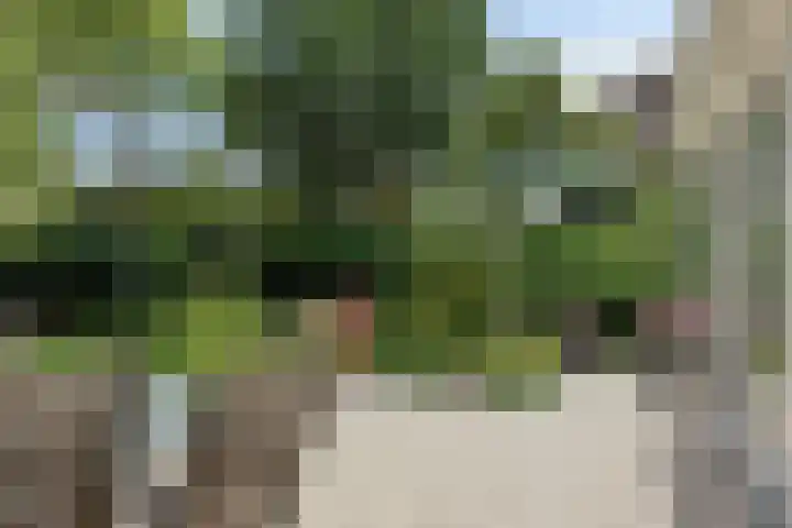 Kuringen 15 Zevenbergen thumbnail 43