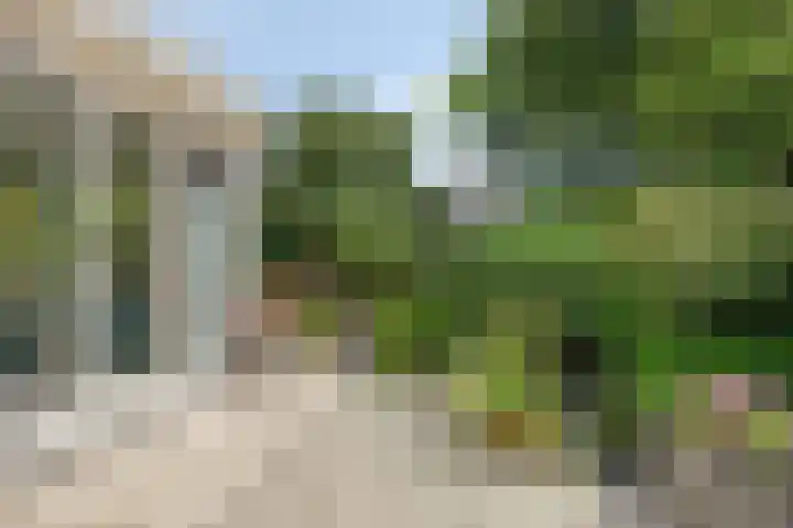 Kuringen 15 Zevenbergen thumbnail 44