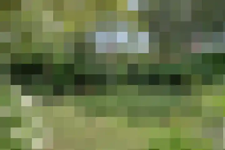 Kuringen 15 Zevenbergen thumbnail 45