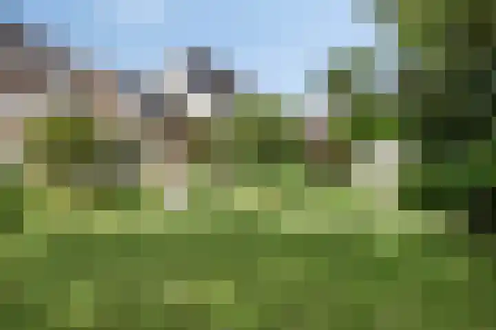 Kuringen 15 Zevenbergen thumbnail 46