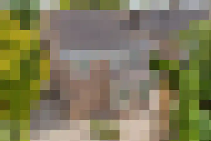 Kuringen 15 Zevenbergen thumbnail 47