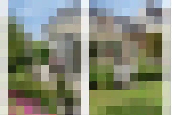 Kuringen 15 Zevenbergen thumbnail 49