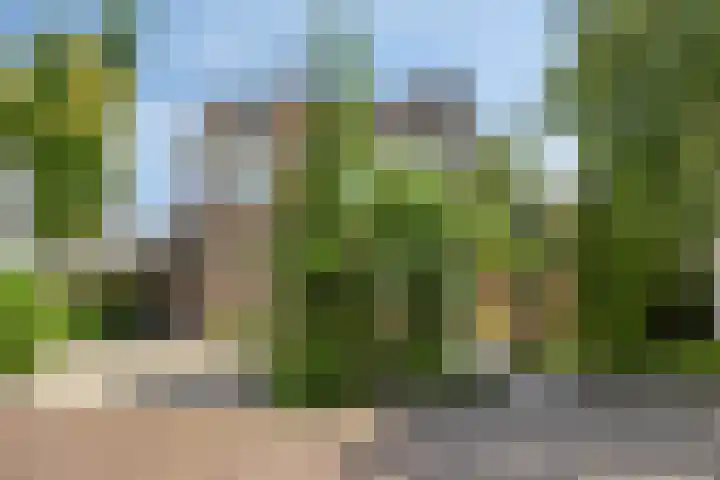 Kuringen 15 Zevenbergen thumbnail 5