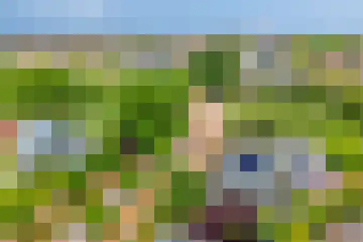 Kuringen 15 Zevenbergen thumbnail 50