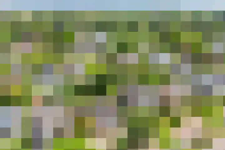 Kuringen 15 Zevenbergen thumbnail 51