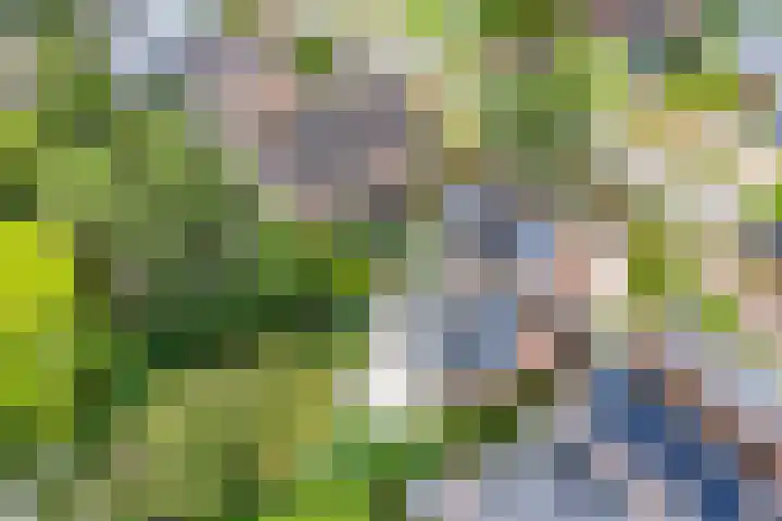 Kuringen 15 Zevenbergen thumbnail 53