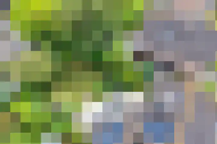 Kuringen 15 Zevenbergen thumbnail 54