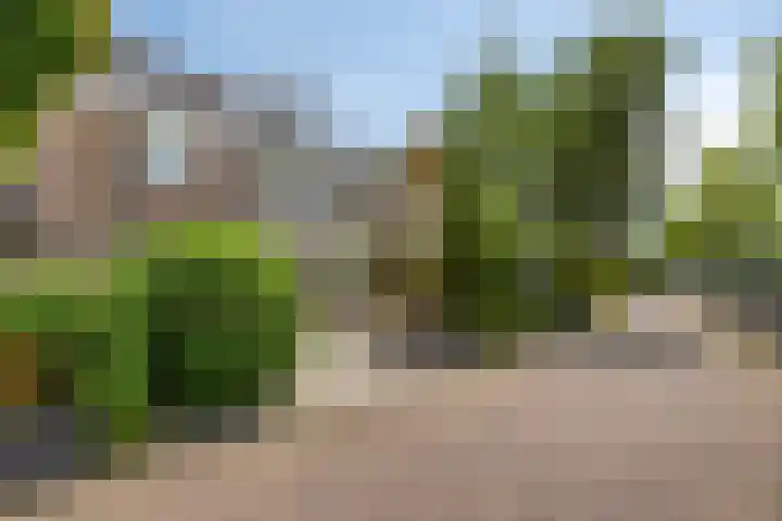 Kuringen 15 Zevenbergen thumbnail 55