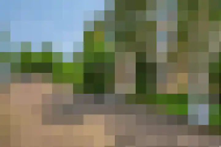 Kuringen 15 Zevenbergen thumbnail 56