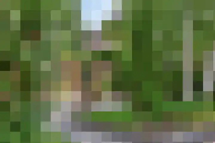 Kuringen 15 Zevenbergen thumbnail 6