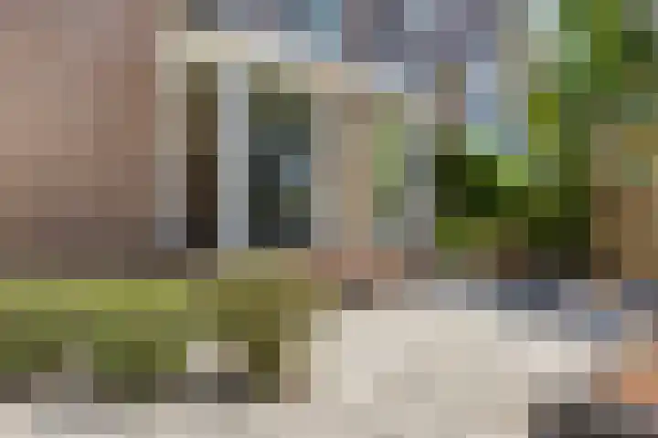 Kuringen 15 Zevenbergen thumbnail 7