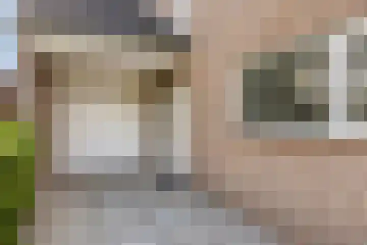 Kuringen 15 Zevenbergen thumbnail 8