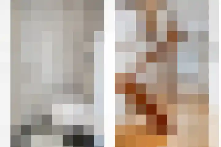 Kuringen 15 Zevenbergen thumbnail 9