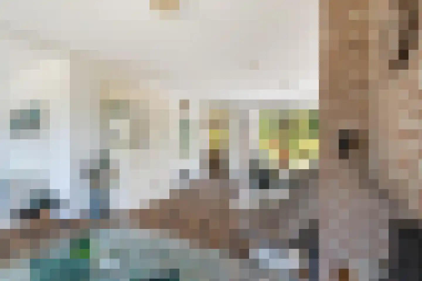 Kuringen 19 Zevenbergen thumbnail 12