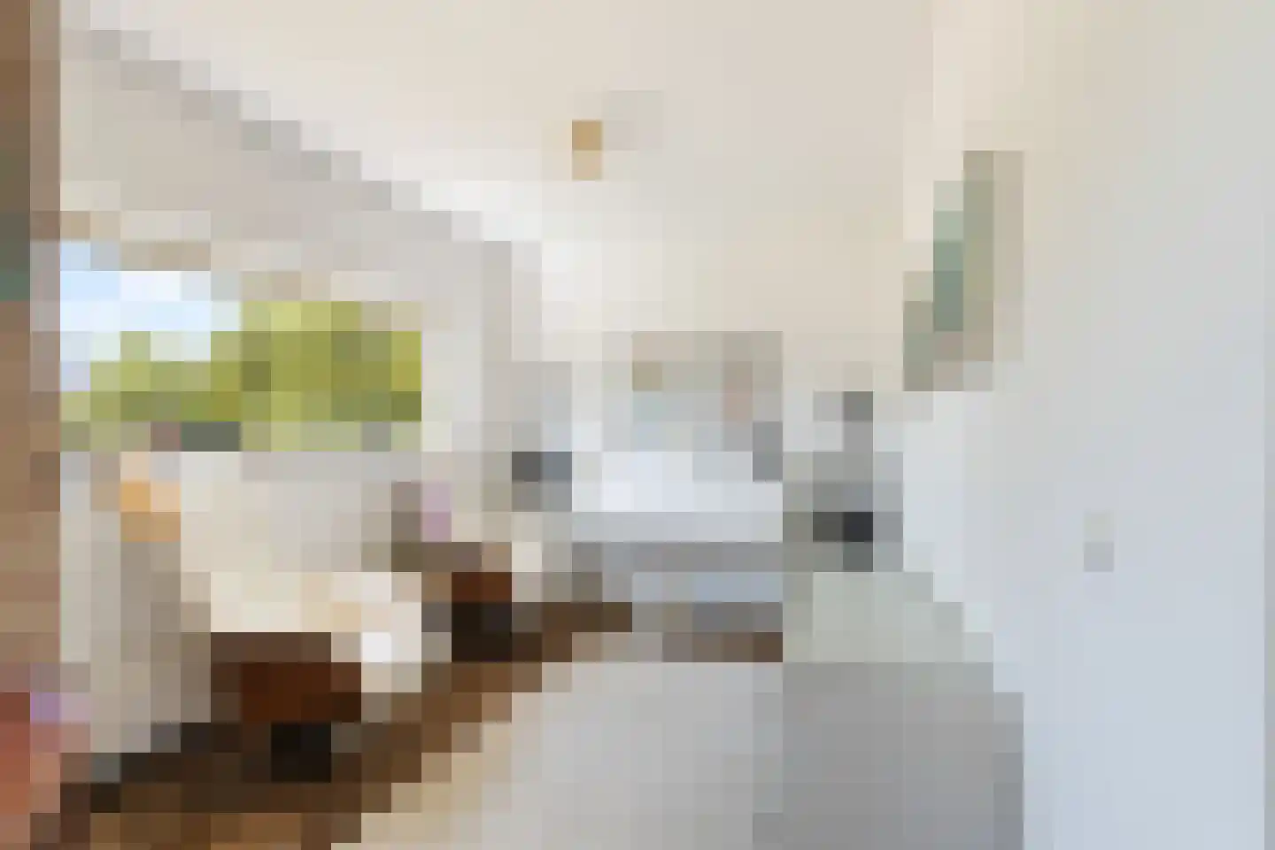 Kuringen 19 Zevenbergen thumbnail 14