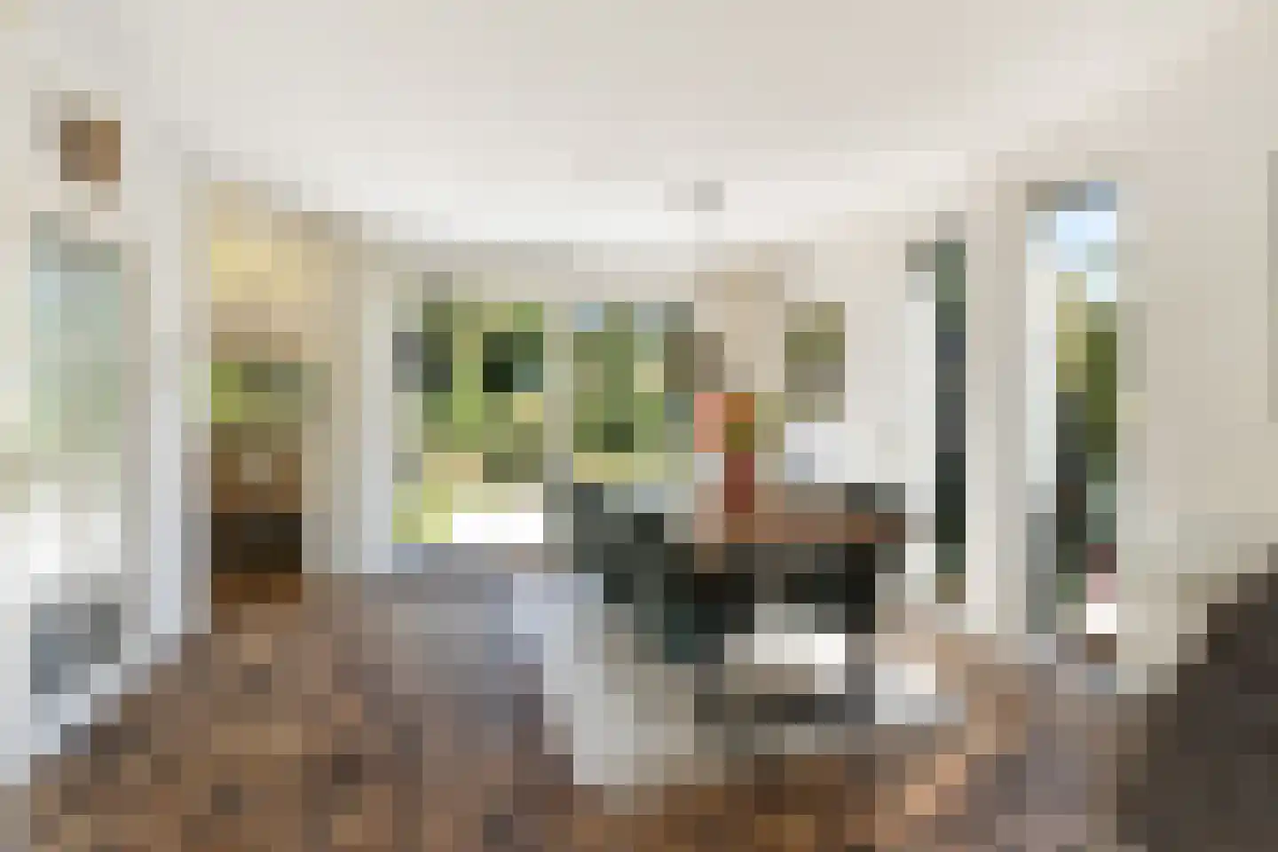Kuringen 19 Zevenbergen thumbnail 22