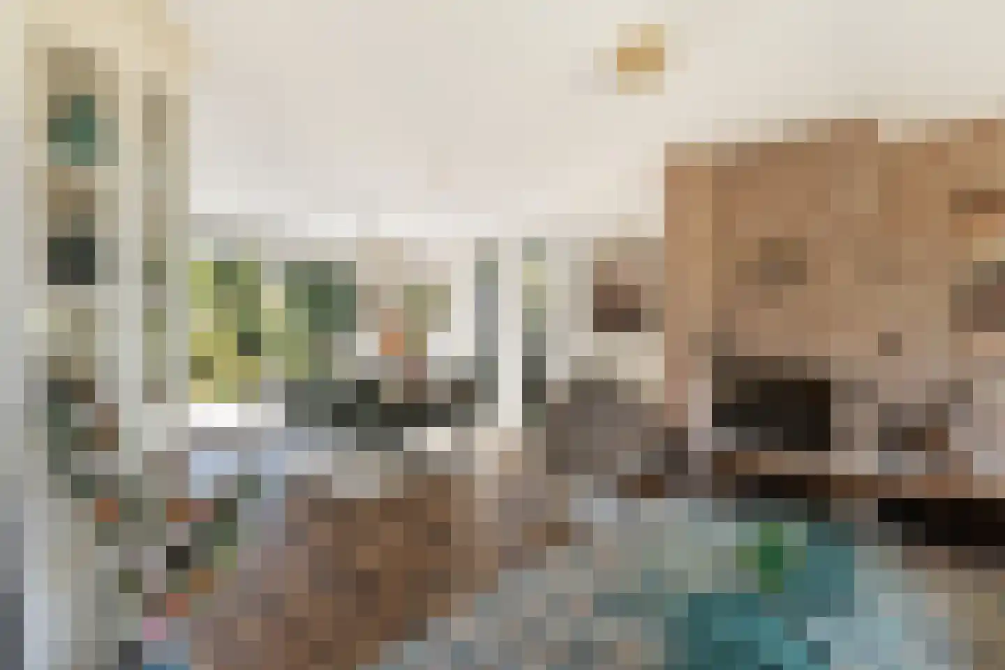 Kuringen 19 Zevenbergen thumbnail 23