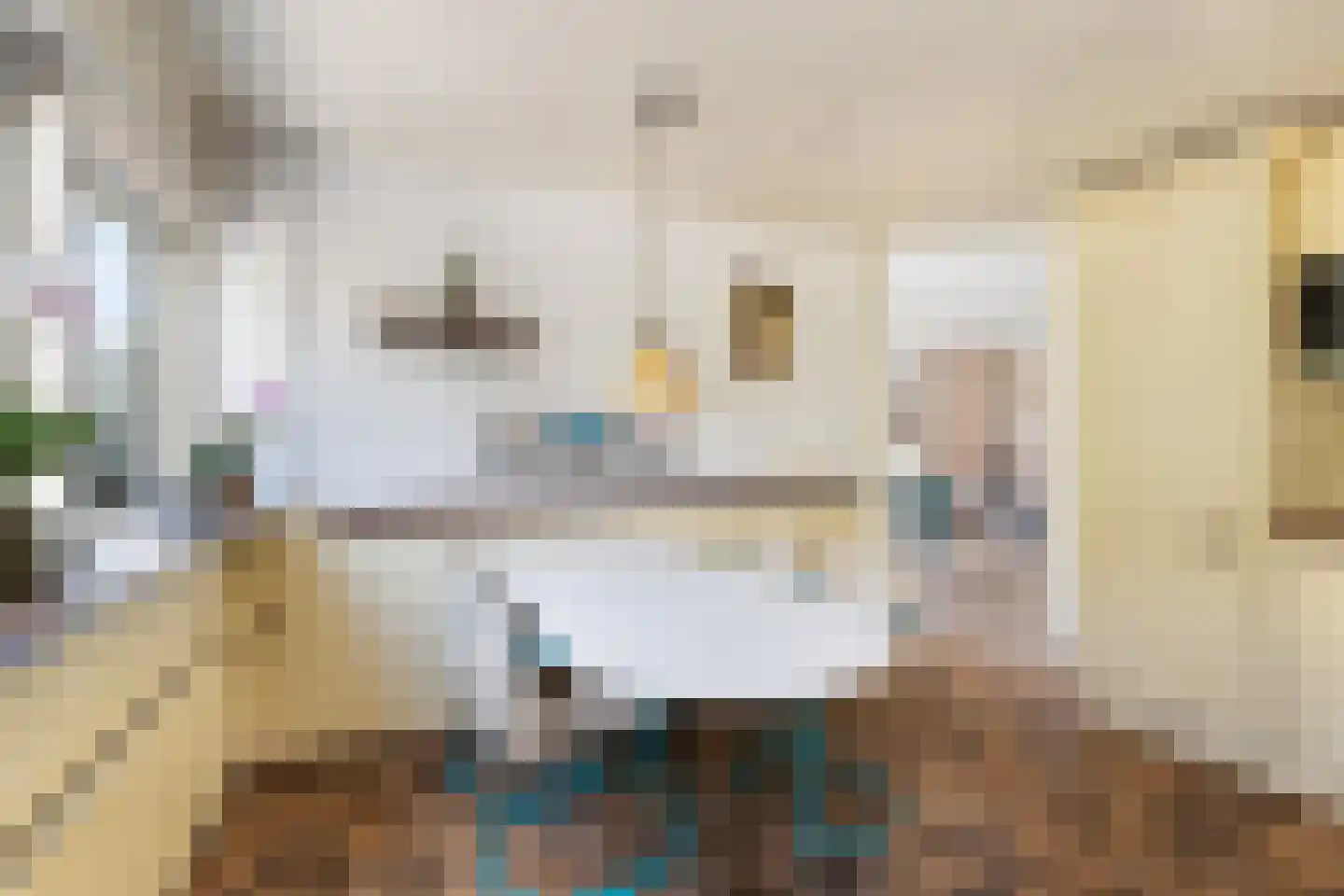Kuringen 19 Zevenbergen thumbnail 26