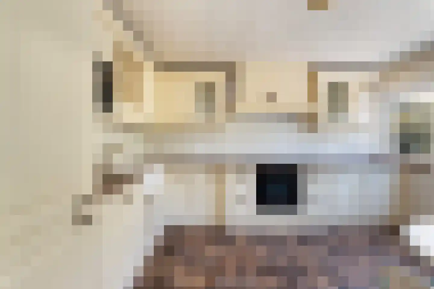 Kuringen 19 Zevenbergen thumbnail 28