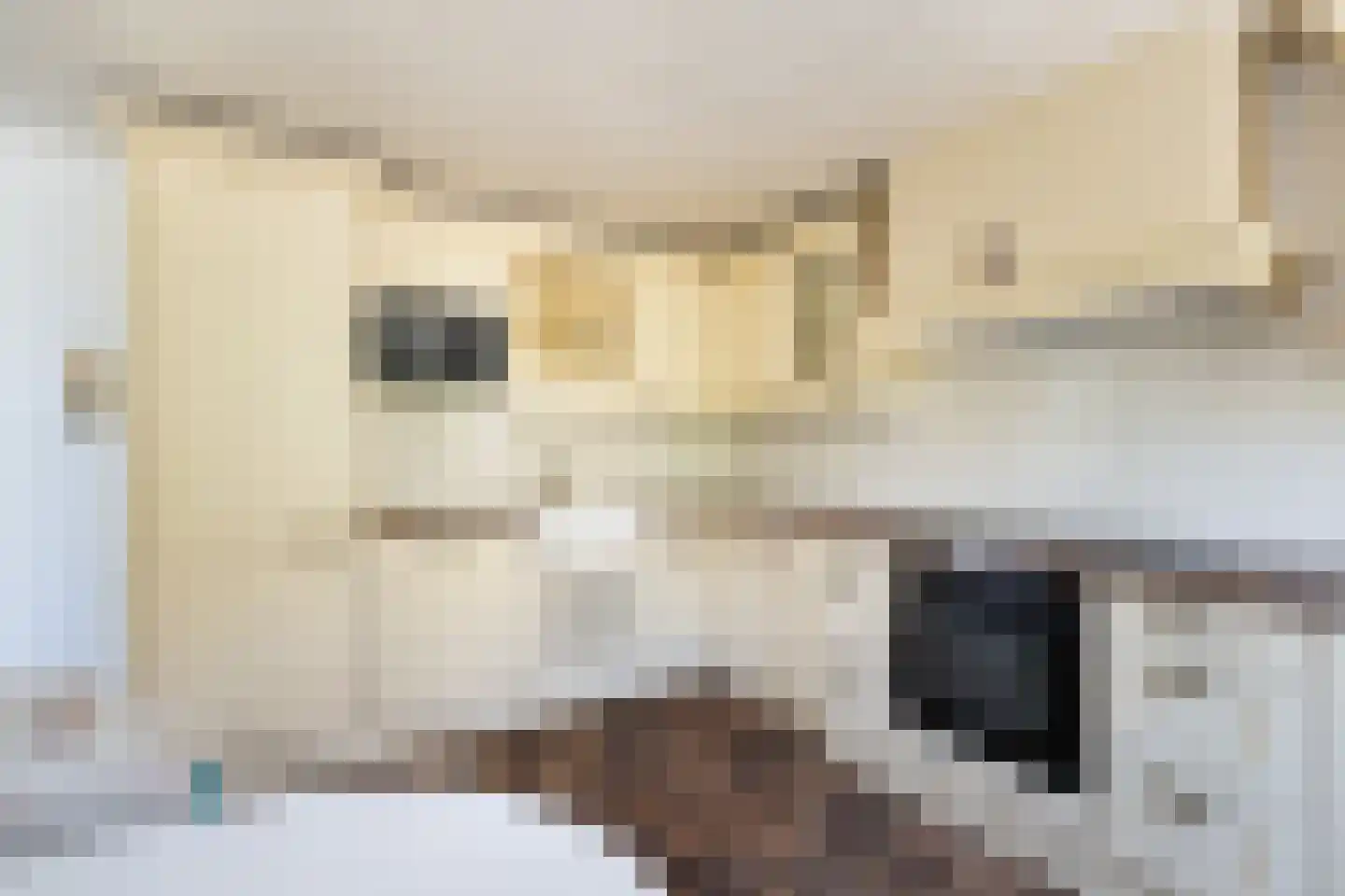 Kuringen 19 Zevenbergen thumbnail 30