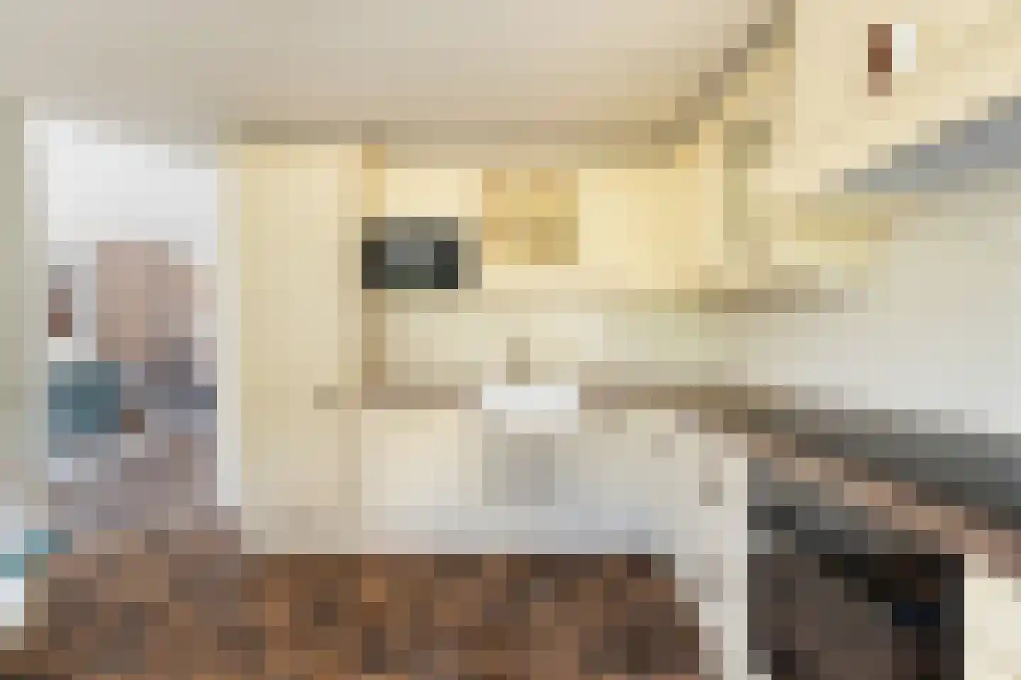 Kuringen 19 Zevenbergen thumbnail 31